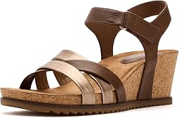 Mocha/Bronze