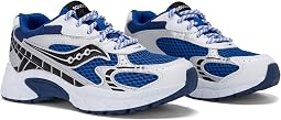 Silver/Royal