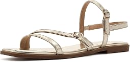 Champagne Lizard