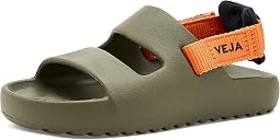 Kaki