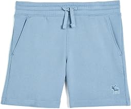 Essential Fleece Shorts (Big Kids)