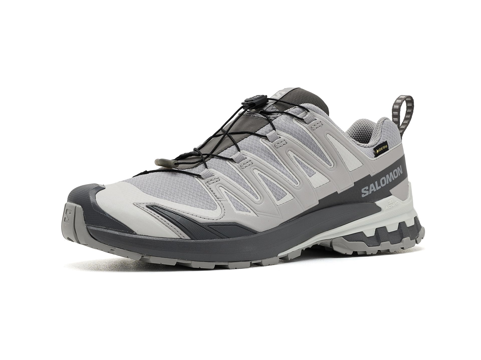 XA Pro 3D V9 GORE-TEX