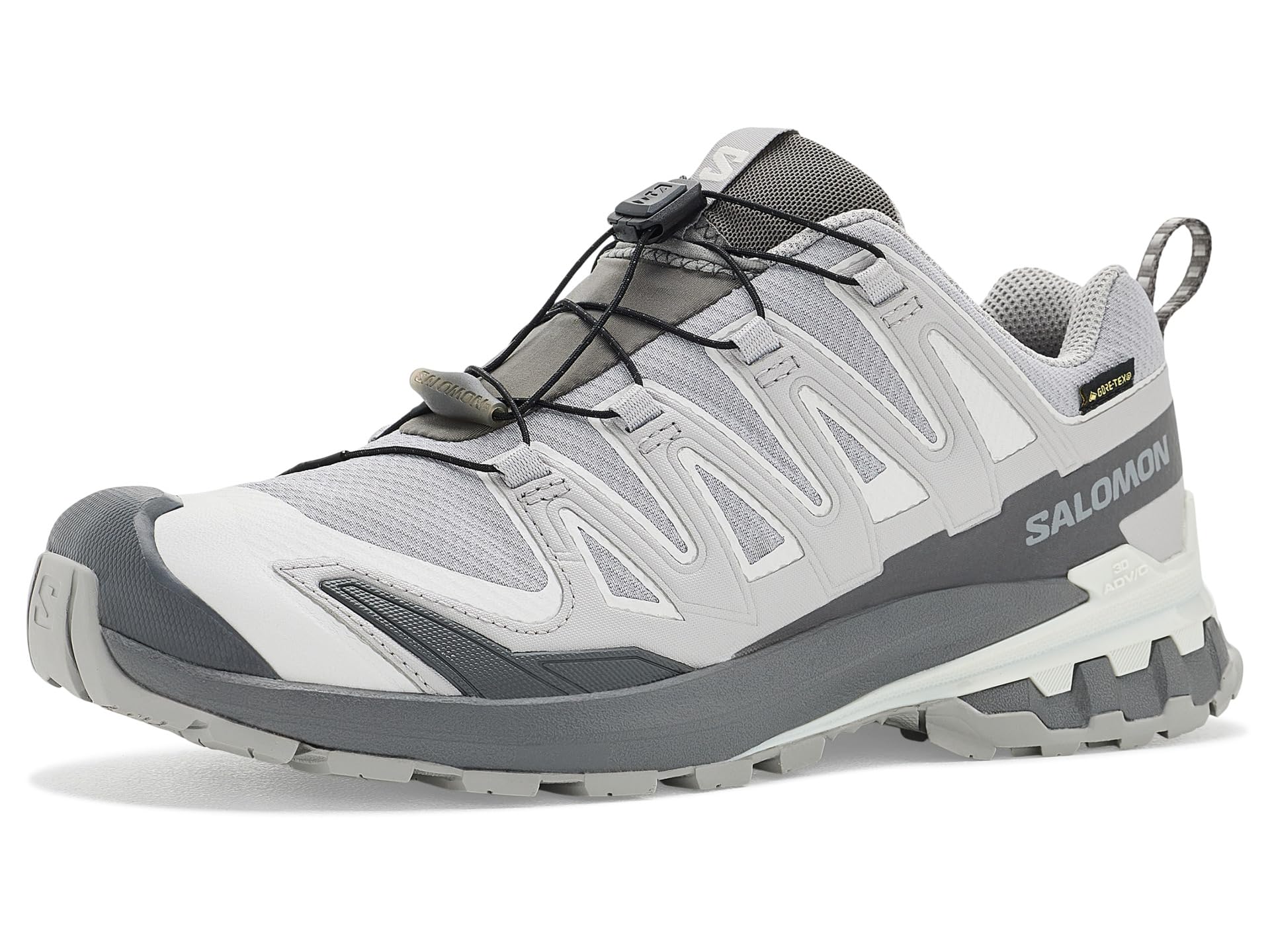 XA Pro 3D V9 GORE-TEX