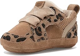 Lowmel Spotted (Infant)
