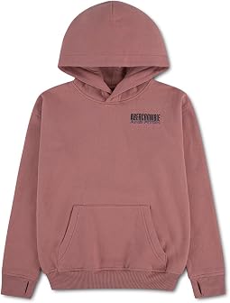 Pullover Hoodie (Little Kid/Big Kid)