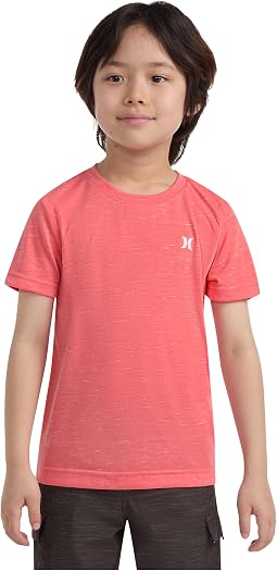 Faded Coral