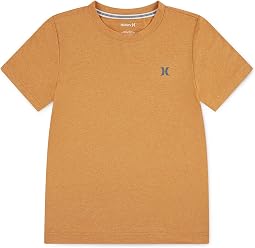 Orange Cream Heather