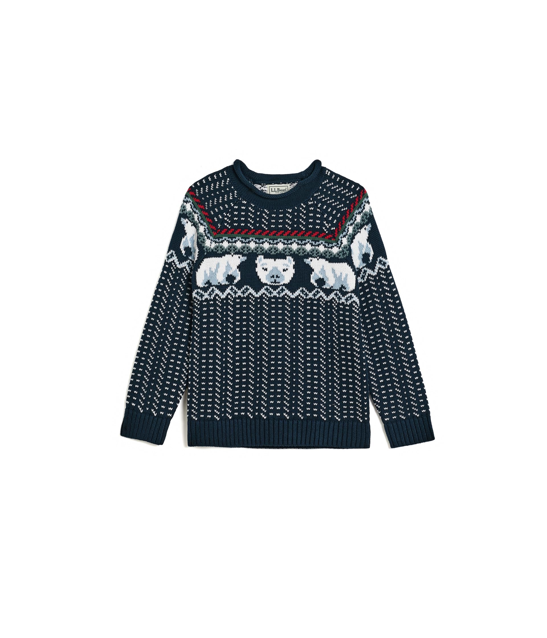 Cotton Rollneck Sweater (Big Kid)