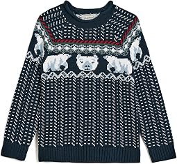 Cotton Rollneck свитер (большой ребенок)