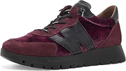 Combo Vino/Black