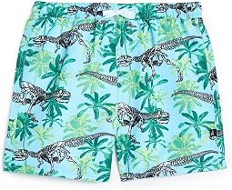 Плавки Skeleton Boardshorts (маленький ребенок)
