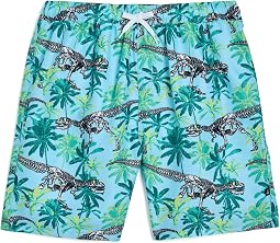Плавки Skeleton Boardshorts (старший ребенок)