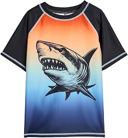 Горничка Gradient Rashguard (для детей)