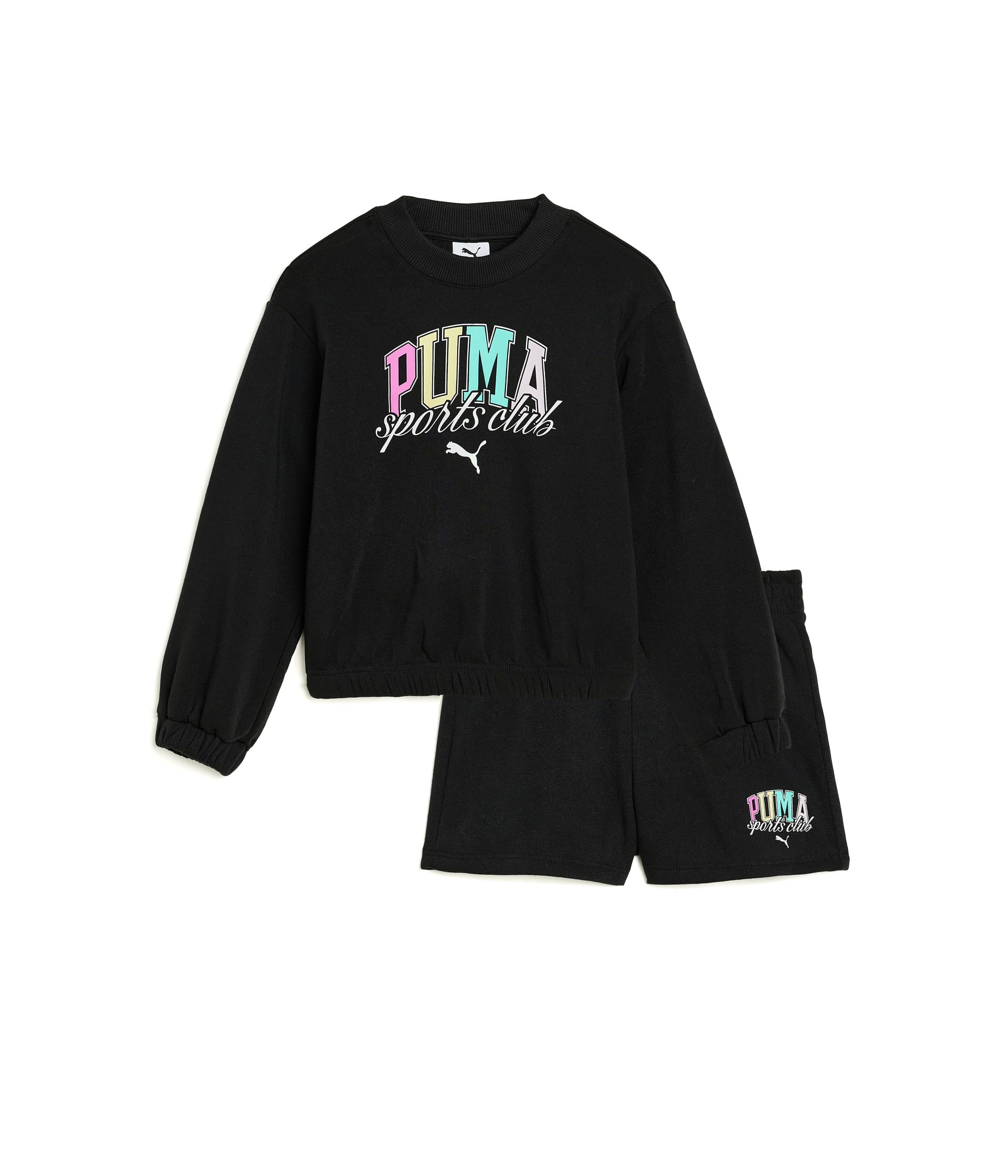 Crew Neck Pullover & Shorts Set (Toddler/Little Kid)