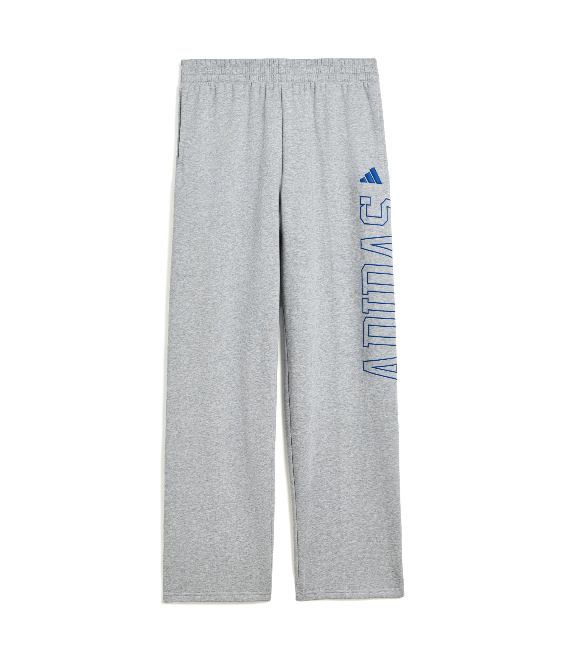 Collegiate Graphic Heather Pants (Big Kid)