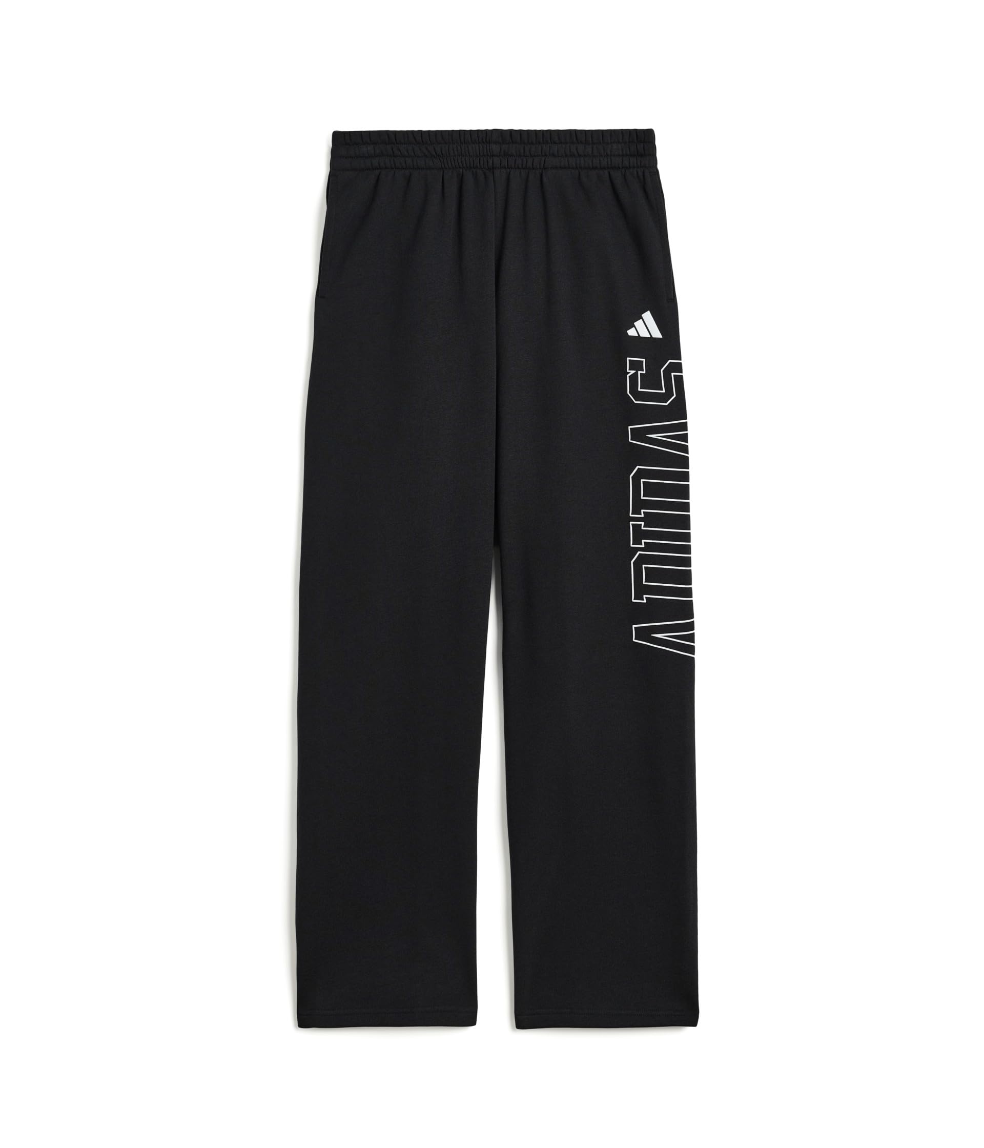 Collegiate Graphic Pants (Big Kid)