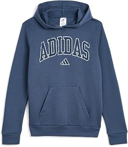 Collegiate Arch Fleece Hooded Pullover (Большой ребенок)