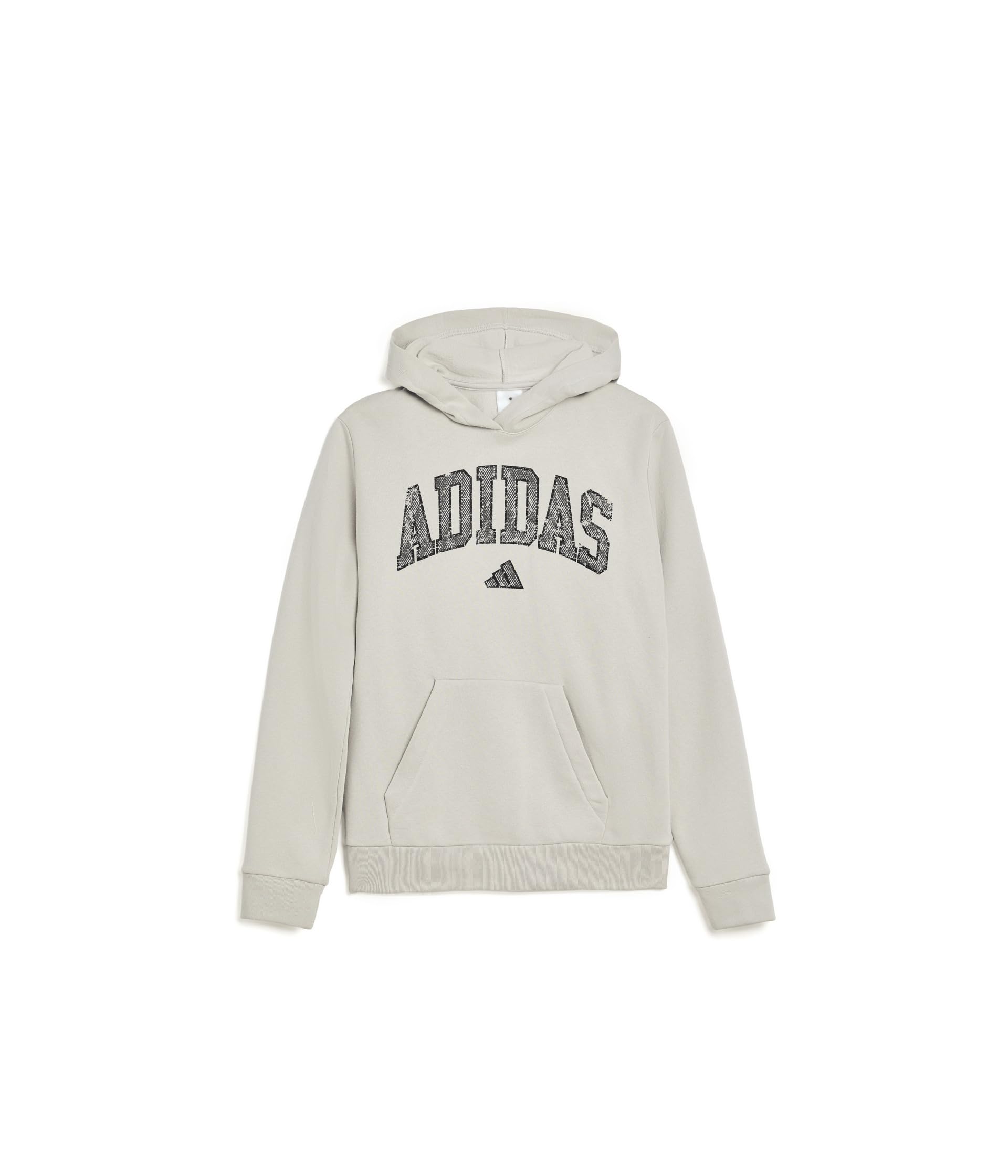 Collegiate Arch Fleece Hooded Pullover (Big Kid)