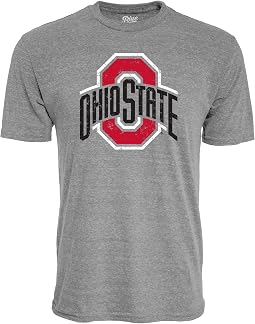 Ohio State Buckeyes/Heather Grey