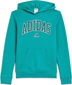 Collegiate Arch Fleece Hooded Pullover (Big Kid)