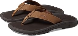 Tan/Dark Java