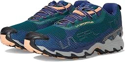 Wildcat 2.0 GTX кроссовки