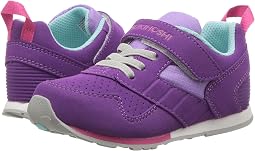 Purple/Lavender