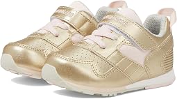 Gold/Rose