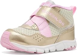 Gold/Pink