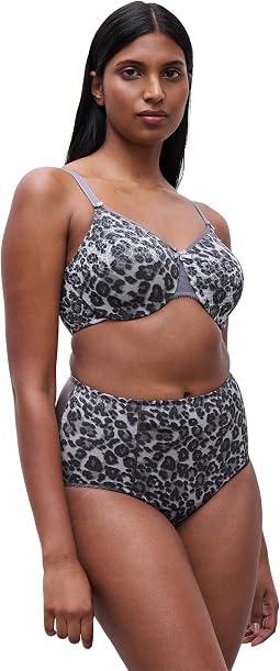 Grey Leopard