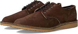 Chocolate Muleskinner