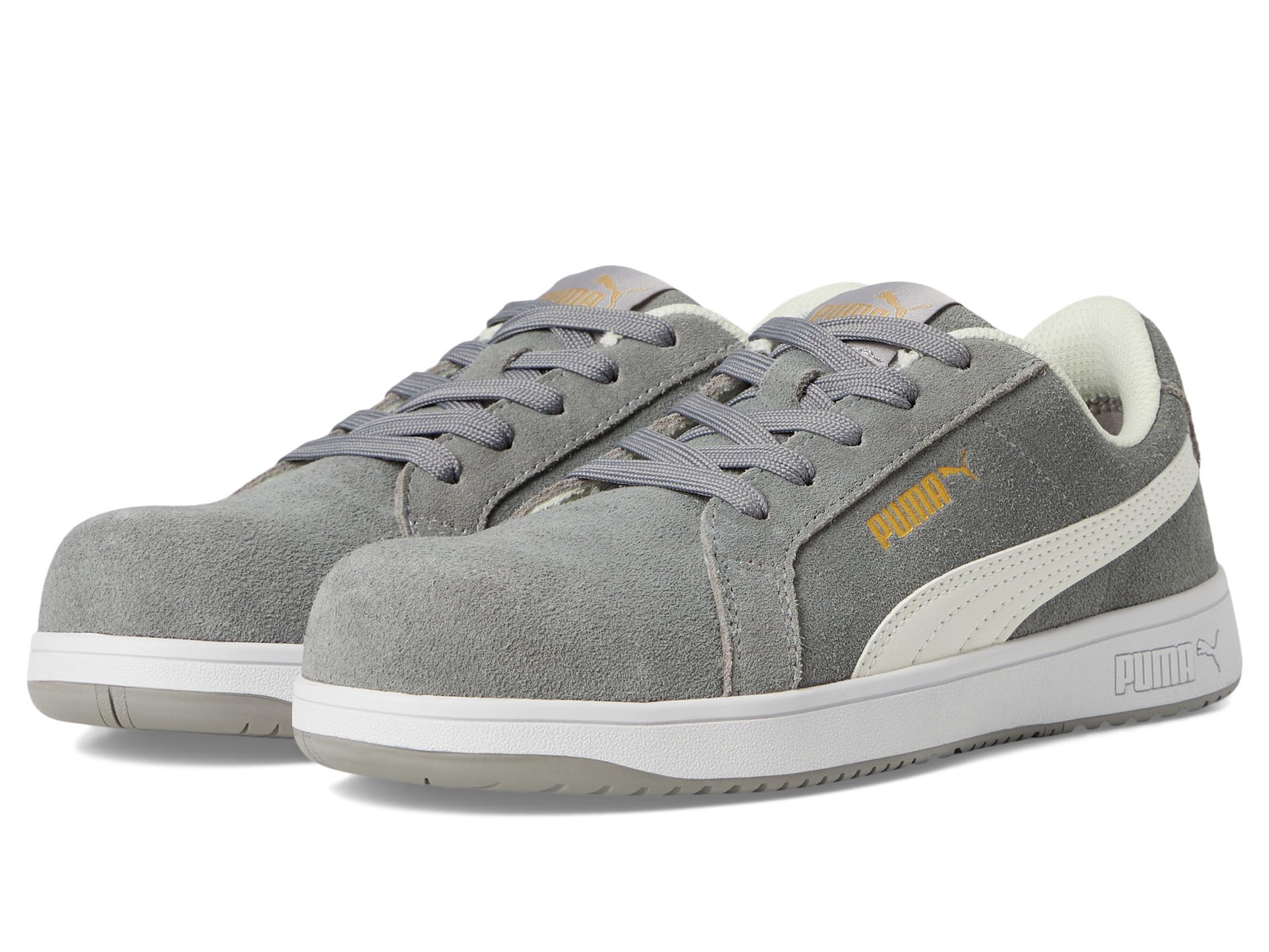 Iconic Suede Low ASTM SD
