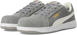 Iconic Suede Low ASTM SD
