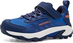 Blue/Navy