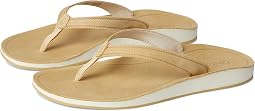Toasted Coconut / Toasted Coconut