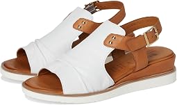 White Multi