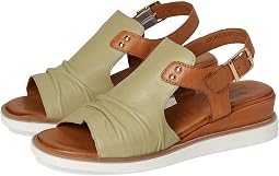 Olive Multi